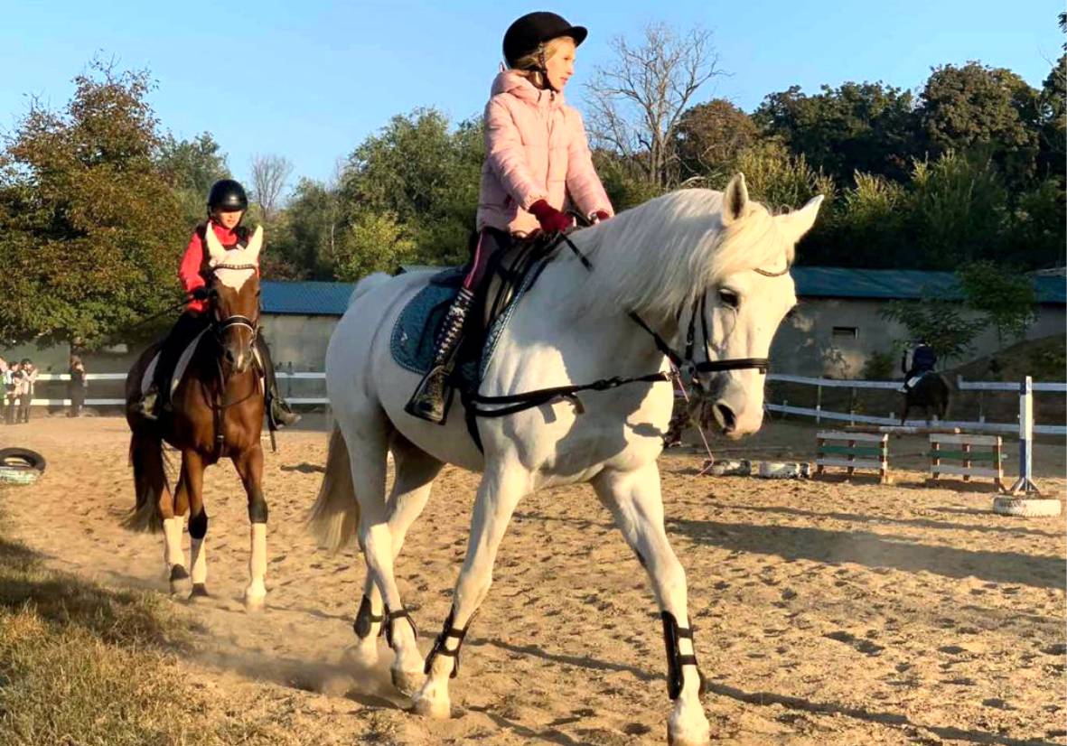 Прогулка на лошадях для компании